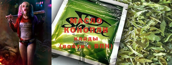тгк Краснослободск