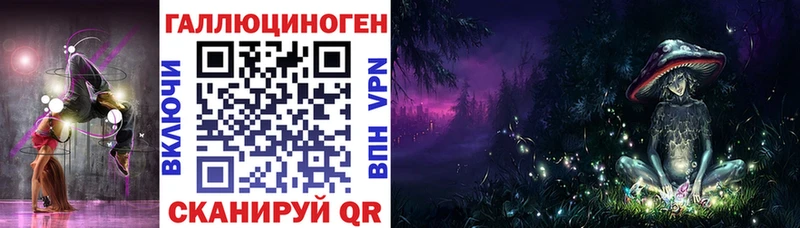 Купить где Новодвинск Псилоцибиновые грибы Psilocybine cubensis