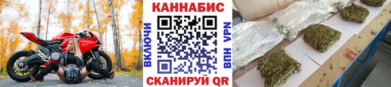 Каннабис конопля  Купить закладки  Новодвинск 